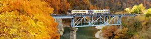 紅葉の中、鉄橋を渡る列車